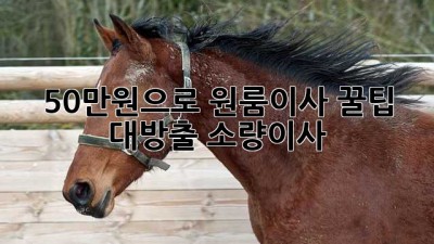 50만원으로 원룸이사?! 꿀팁 대방출🍯 #소량이사