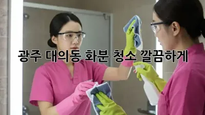 광주 대의동 화분 청소, 깔끔하게!